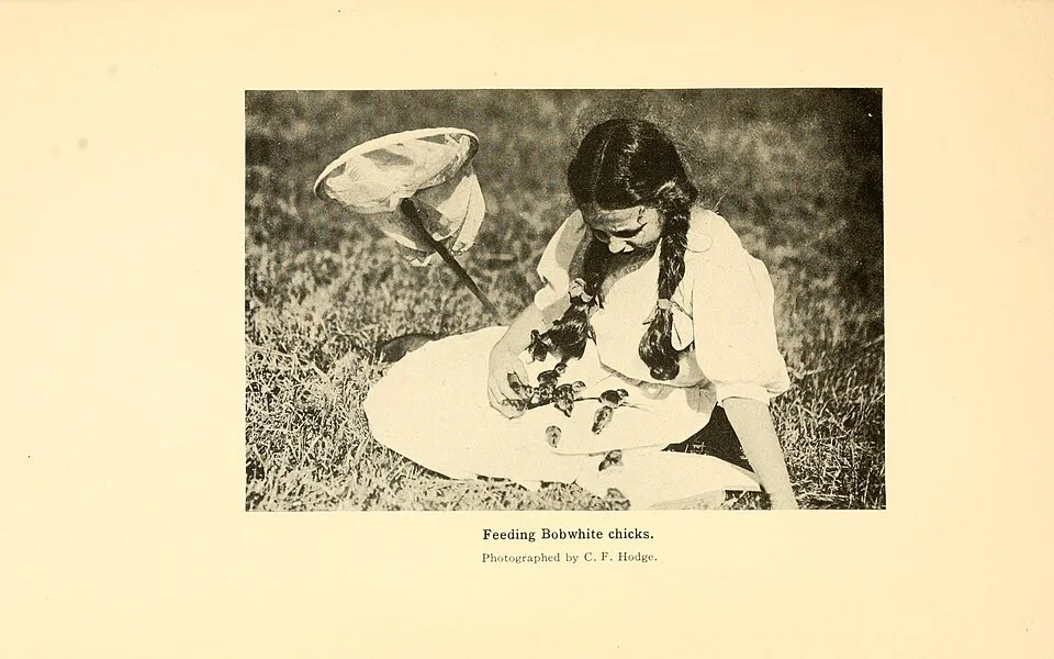 Hình minh họa: Câu hỏi thường gặp về Game Bắn Súng Cấu Hình Yếu