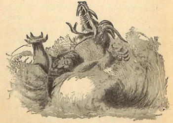 Hình minh họa: Khái niệm và sức hút của thể loại game chiến thuật fantasy